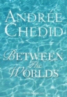 Between the Worlds - Book