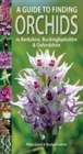 A Guide to Finding Orchids in Berkshire, Buckinghamshire and Oxfordshire - Book