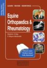 Equine Orthopaedics and Rheumatology : Self-Assessment Color Review - Book