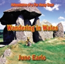 Adventures of a Far Away Bear : Book 4 - Wandering in Wales - Book