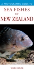 Photographic Guide To Sea Fishes Of New Zealand - Book