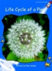 Red Rocket Readers : Early Level 3 Non-Fiction Set B: Life Cycle of a Plant - Book