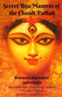 Secret Bija Mantras of the Chandi Pathah : Bijamantratmaka Tantra Durga Saptasati Guyabija Namavali - Book