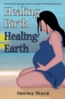 Healing Birth Healing Earth : A Journey Through Pre- And Perinatal Psychology - Book