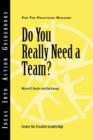 Do You Really Need a Team? - Book
