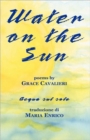 Water on the Sun - Book