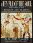 Temple of the Soul Initiation Philosophy in the Temple of Osiris at Abydos : Decoded Temple Mysteries Translations of Temple Inscriptions and Walking Path through The Temple Mysteries, Iconography and - Book