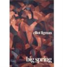 Big Spring - Book