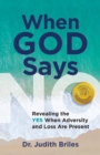 When God Says NO - Revealing the YES When Adversity and Lost Are Present - Book