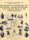 Archaeology of the Bronze Age, Hellenistic, and Roman Remains at an Ancient Town on the Euphrates River : Excavations at Tell Es-Sweyhat, Syria Volume 2 - Book