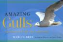 Amazing Gulls : Acrobats of the Sky and Sea - Book