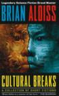 Cultural Breaks : A Collection of Short Fictions - Book