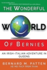 The Wonderful World of Bernies : An Irish - Italian adventure in Queens - Book