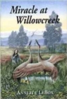Miracle at Willowcreek - Book