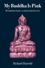 My Buddha Is Pink : Buddhism from a LGBTQI perspective - Book