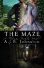 The Maze, a Thomas Pichon Novel - Book