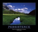 Persistence Poster - Book