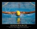 Endurance Poster - Book