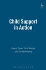 Child Support in Action - Book