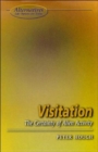 Visitation : The Certainty of Alien Activity - Book