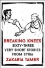 Breaking Knees - Book