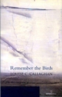 Remember the Birds - Book