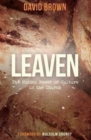 Leaven : The Hidden Power of Culture in the Church - Book