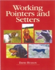 Working Pointers and Setters - Book