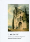 Cardiff : Architecture and Archaeology in the Medieval Diocese of Llandaff - Book