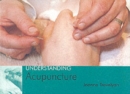 Understanding Acupuncture - Book