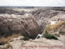 Consuming the American Landscape - Book