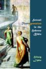 Sexual Transgression in the Hebrew Bible - Book