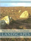 Prehistoric and Roman Landscapes - Book