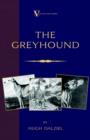 The Greyhound; Its History, Points, Breeding, Rearing, Training and Running (A Vintage Dog Books Breed Classic) - Book