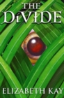 The Divide - Book