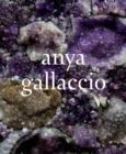 Anya Gallaccio - Book
