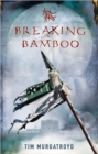 Breaking Bamboo - Book