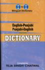English-Punjabi & Punjabi-English One-to-one Dictionary - Script & Roman - Book
