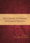 The Concise Dictionary of Classical Hebrew - Book