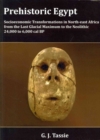 Prehistoric Egypt, Socioeconomic Transformations in North-east Africa from the Last Glacial Maximum to the Neolithic, 24.000 to 4.000 BC - Book