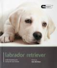 Labrador - Dog Expert - Book