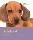 Dachshund - Dog Expert - Book