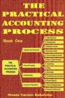 The Practical Accounting Process - Book