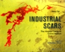 Industrial Scars : The Hidden Costs of Consumption - Book