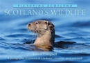 Scotland's Wildlife: Picturing Scotland : A photographic celebration of Caledonia's creatures, great and small - Book