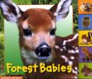 Animal Tabs: Forest Babies - Book
