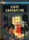 Ciste Castafiore (Tintin i nGaeilge : Tintin in Irish) - Book