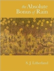 The Absolute Bonus of Rain - Book