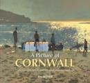 A Picture of Cornwall : Contemporary Artists and the Inspirational Landscape - Book