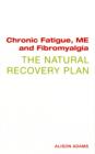 Chronic Fatigue, ME and Fibromyalgia the Natural Recovery Plan - Book